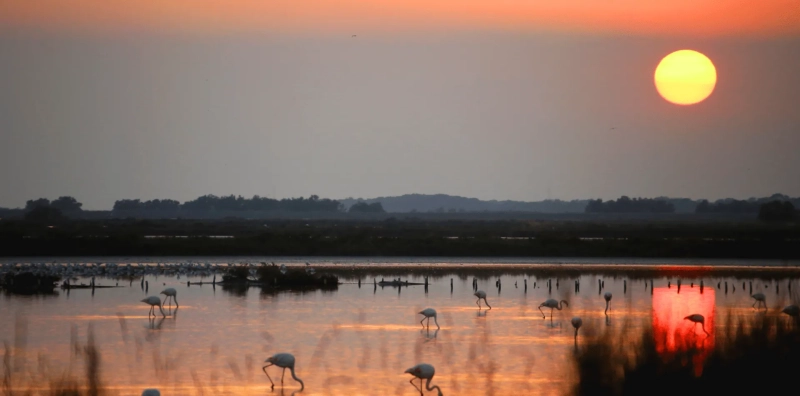 Cura, Valorizzazione e Sostenibilità